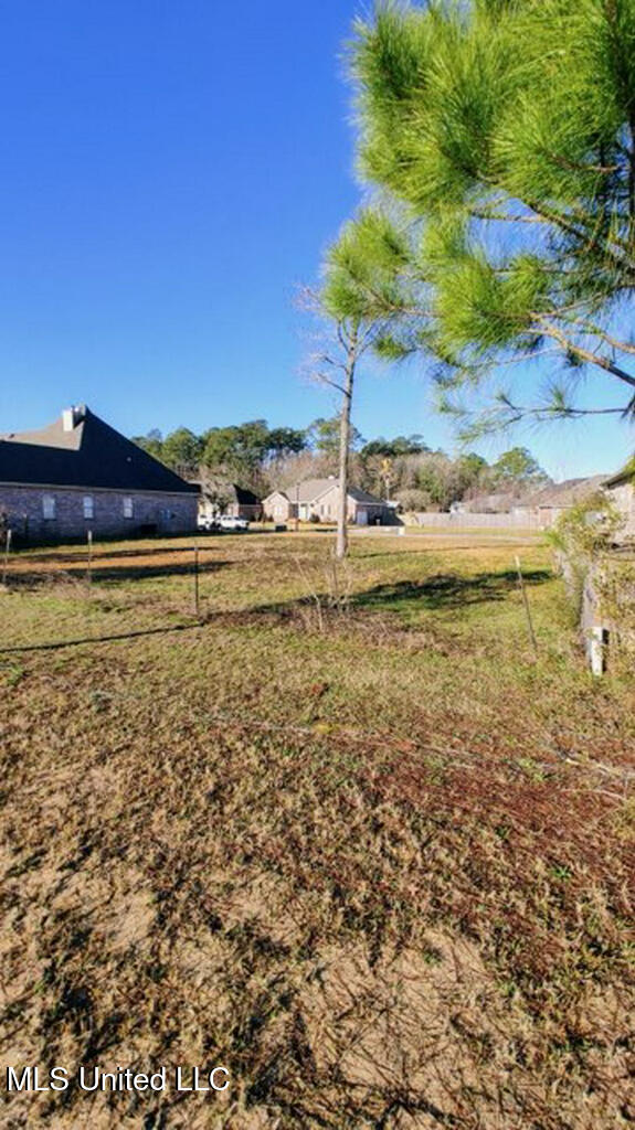 132 Old Savannah Drive Property Photo 6