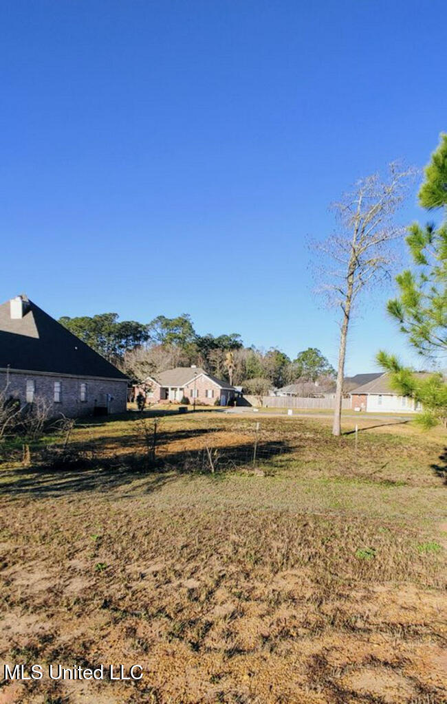 132 Old Savannah Drive Property Photo 7