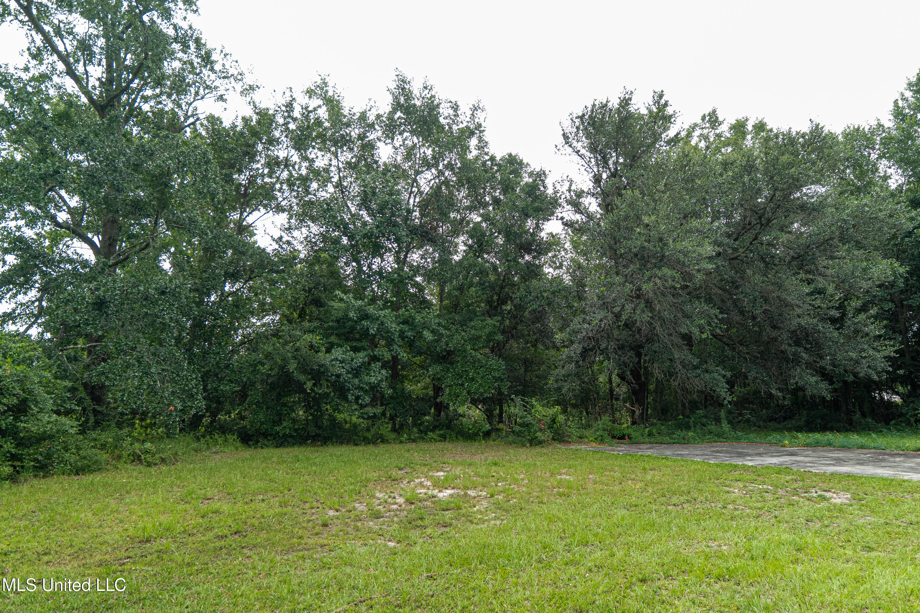 247 Reinike Road Property Photo 3