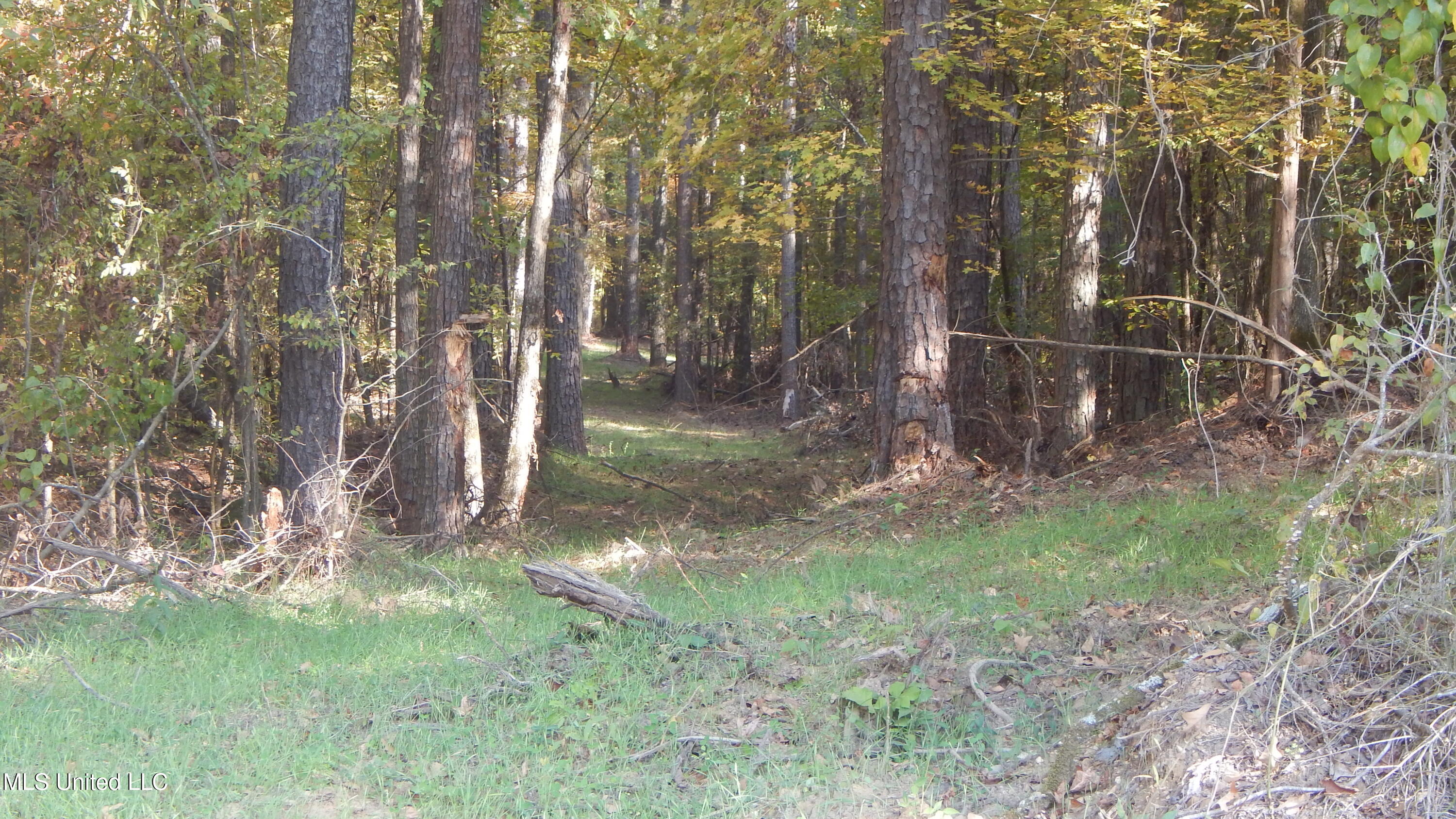 20 9 Property Photo 6