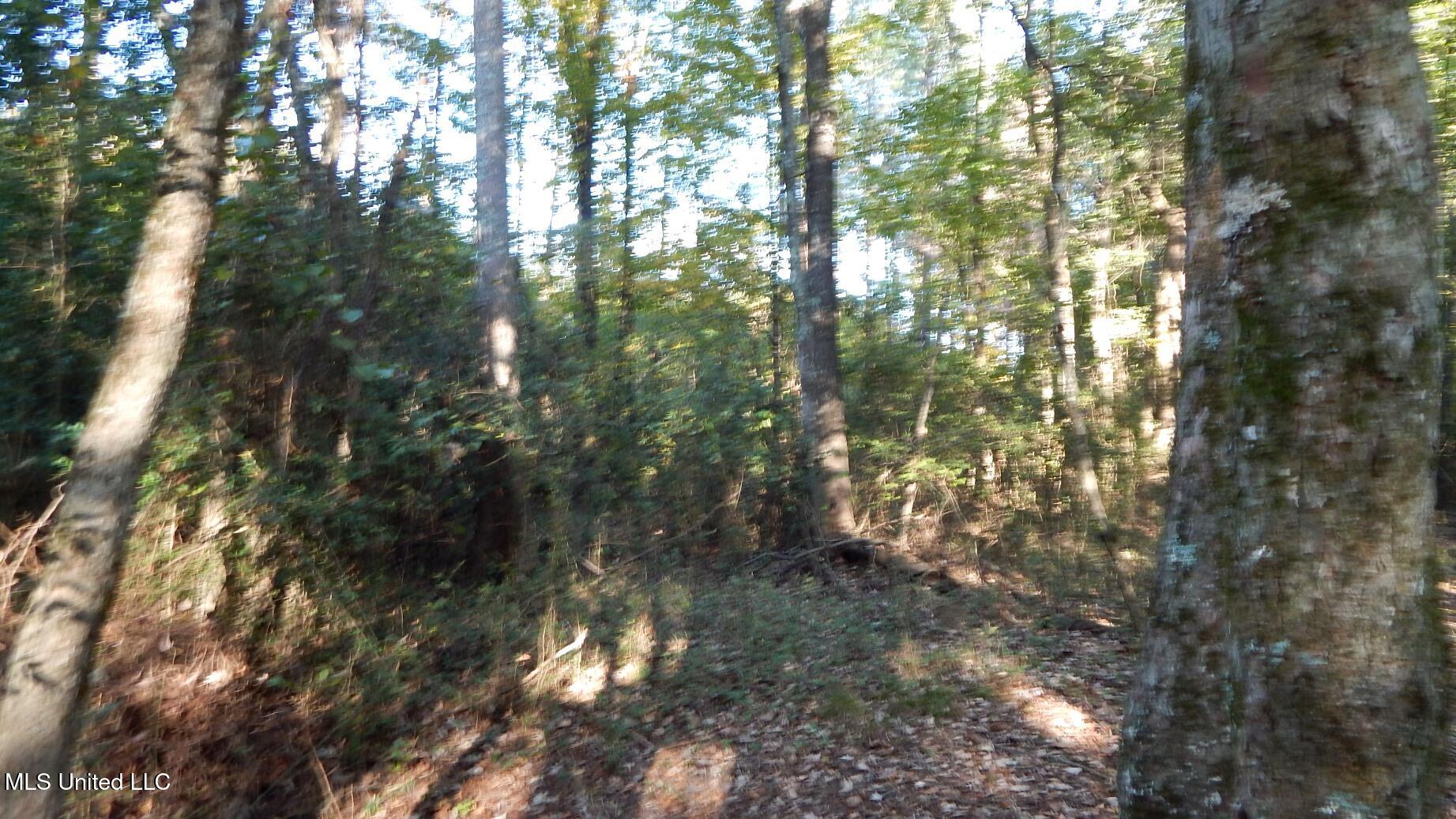20 9 Property Photo 18