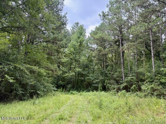 Pecan Orchard Road Property Photo 1