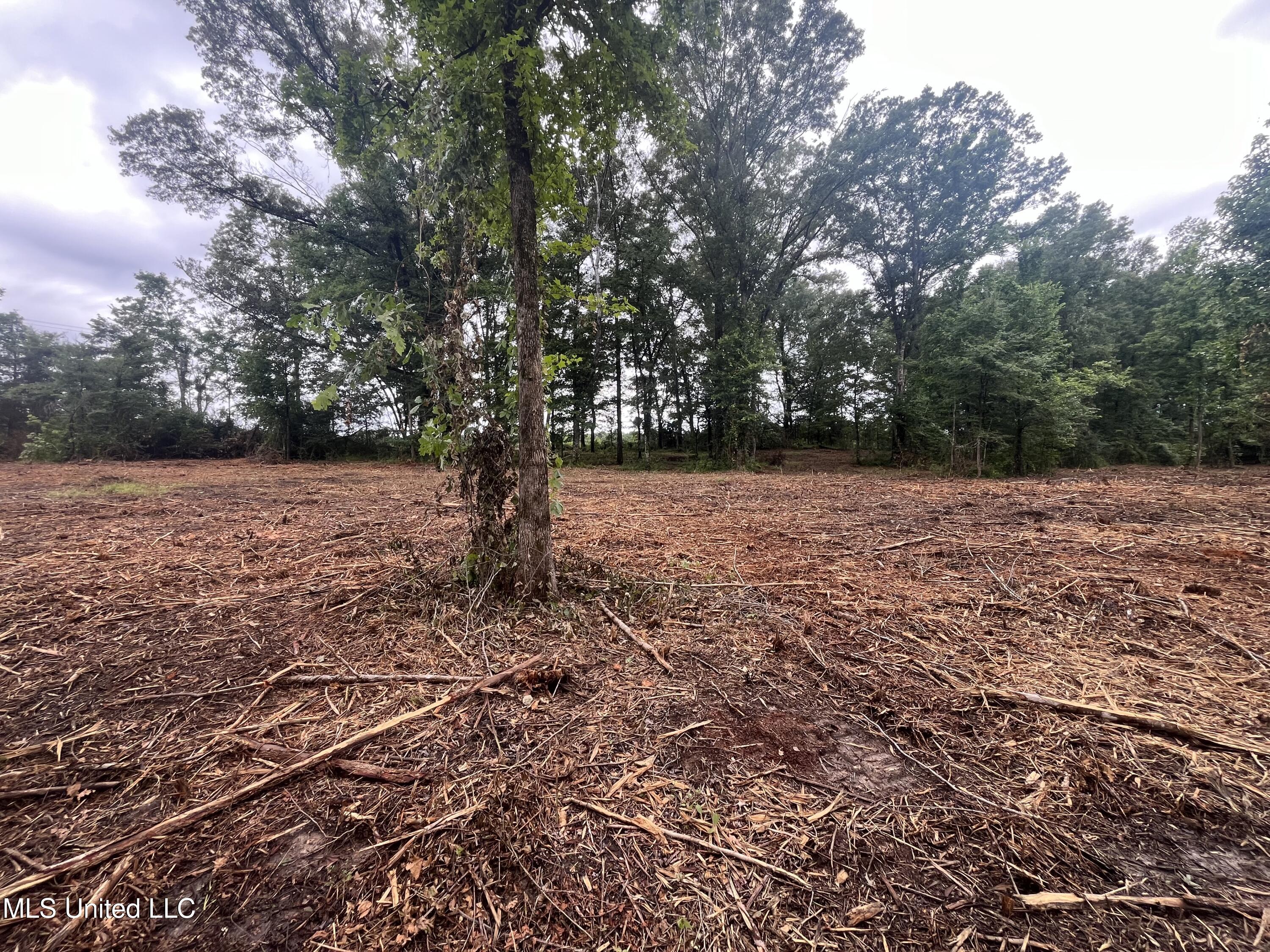 0 Ms-18 Property Photo 5