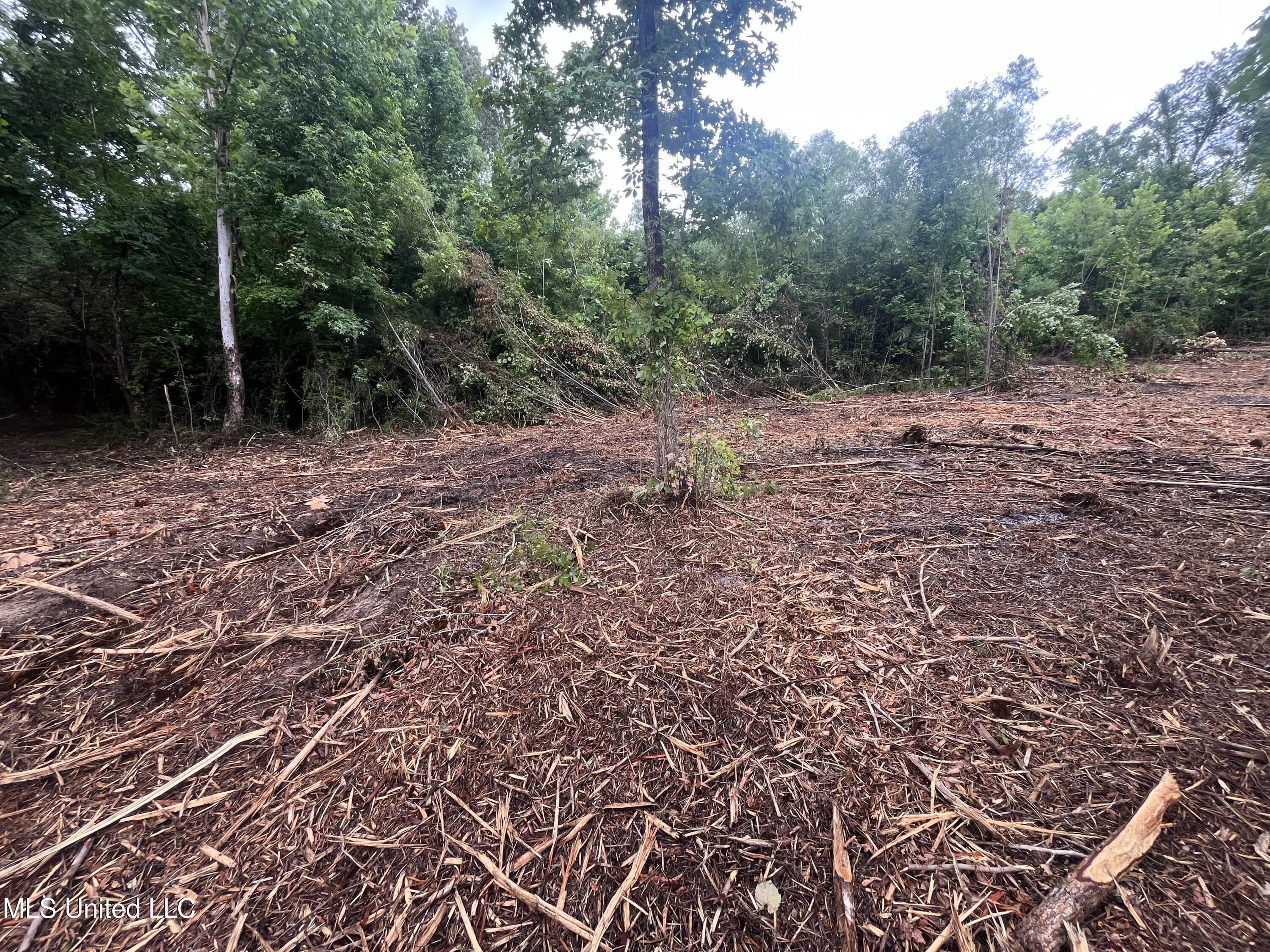 0 Ms-18 Property Photo 6