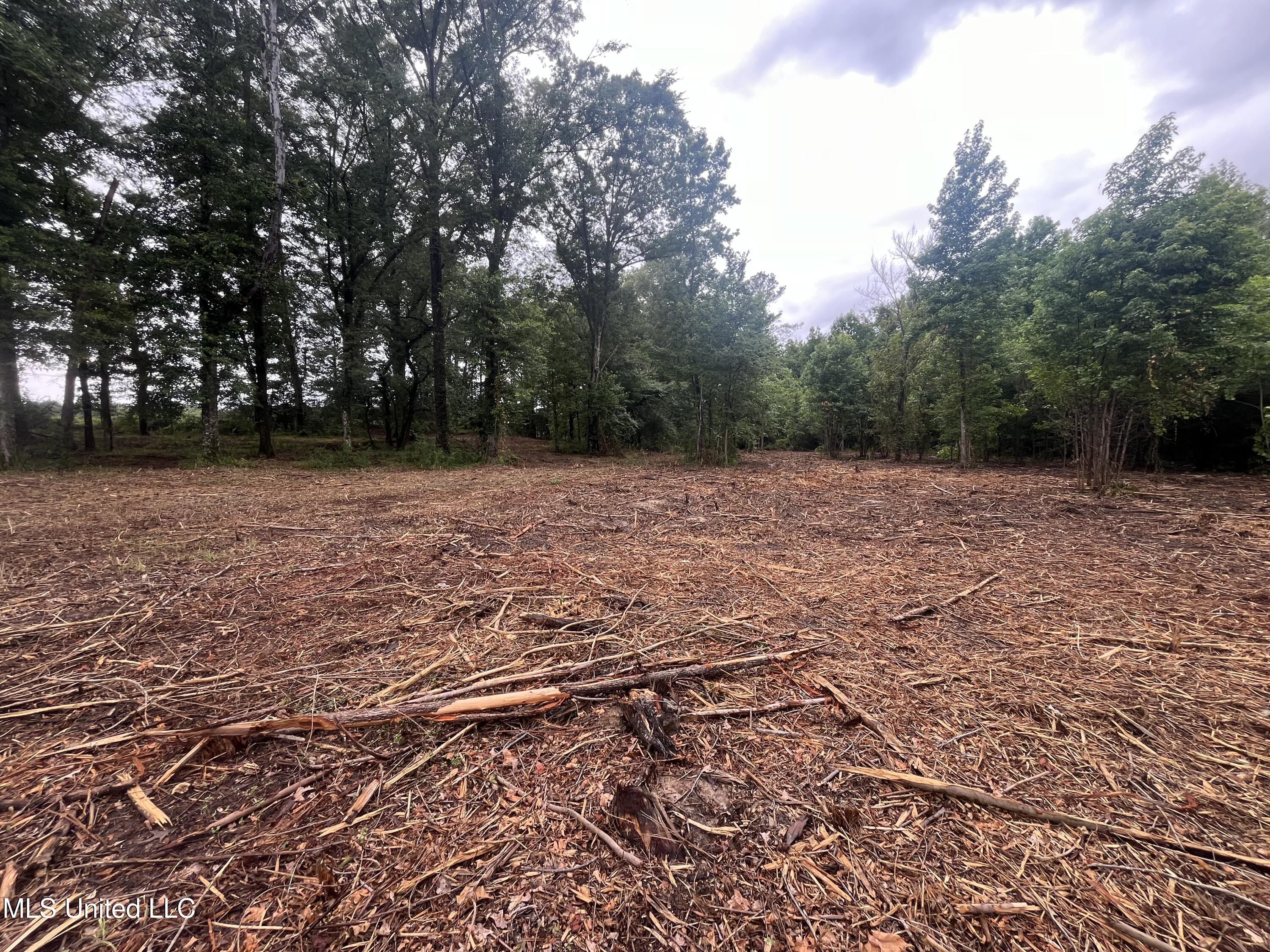 0 Ms-18 Property Photo 7