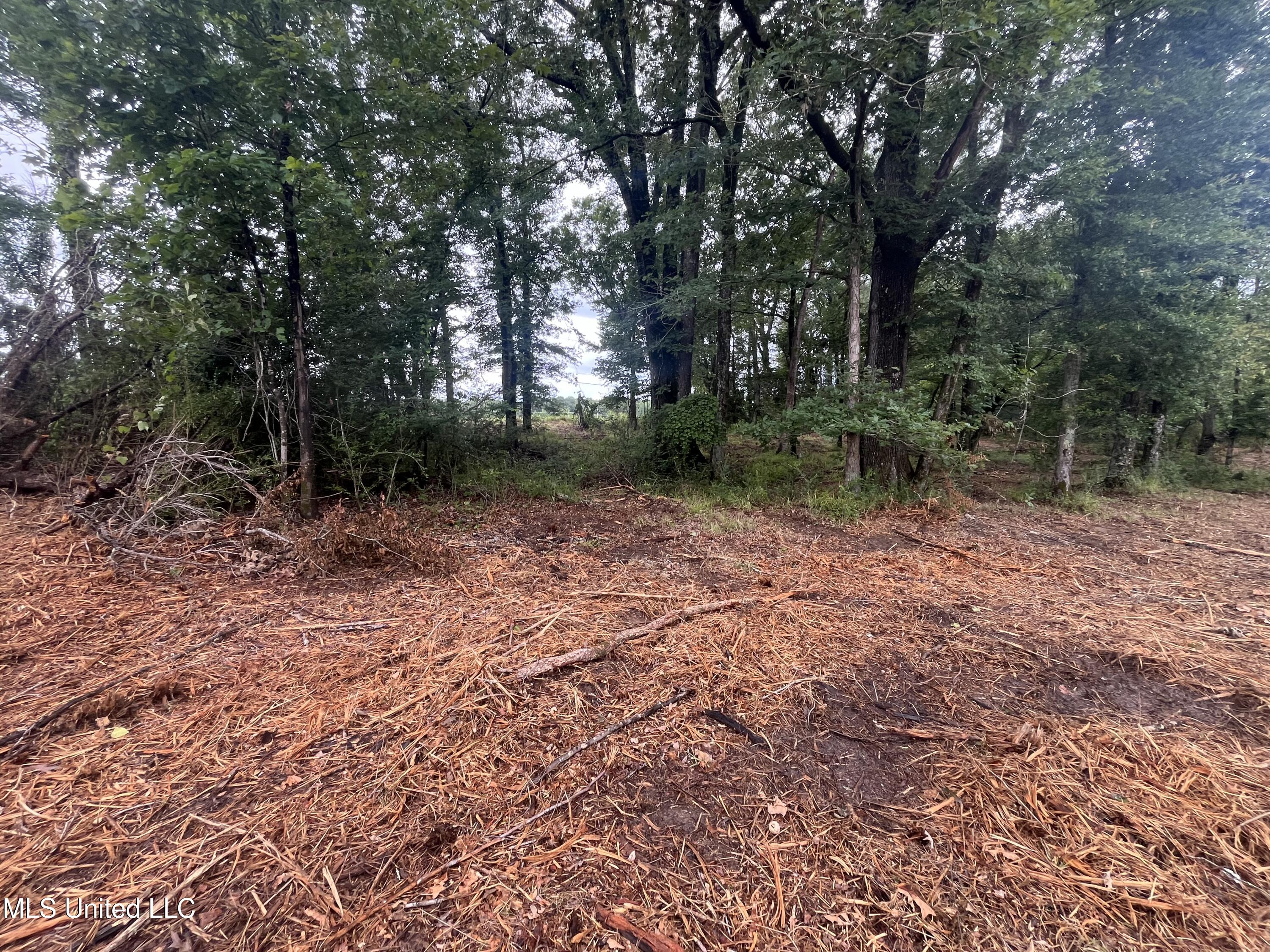 0 Ms-18 Property Photo 8