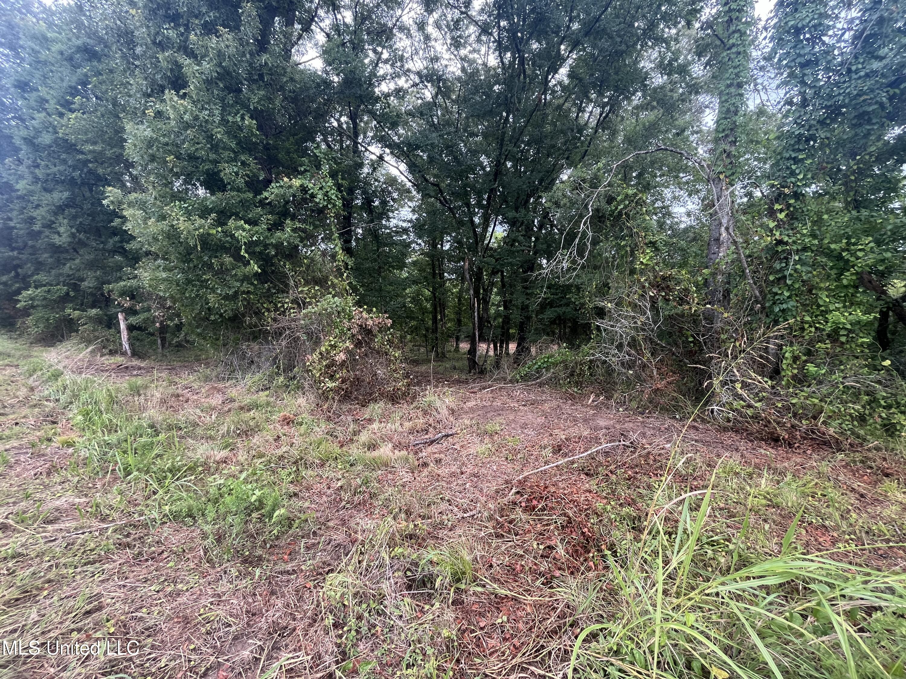 0 Ms-18 Property Photo 16