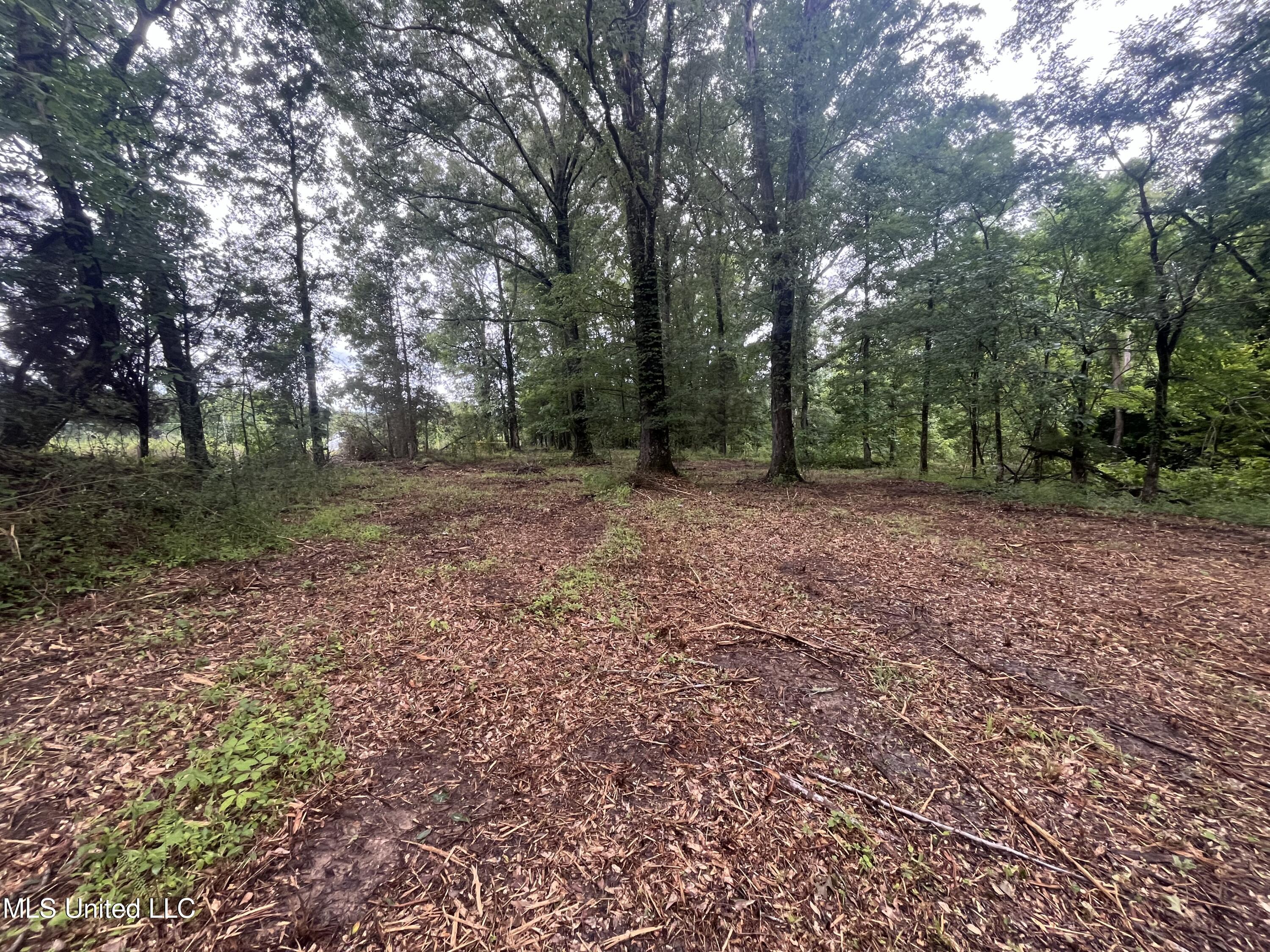 0 Ms-18 Property Photo 22