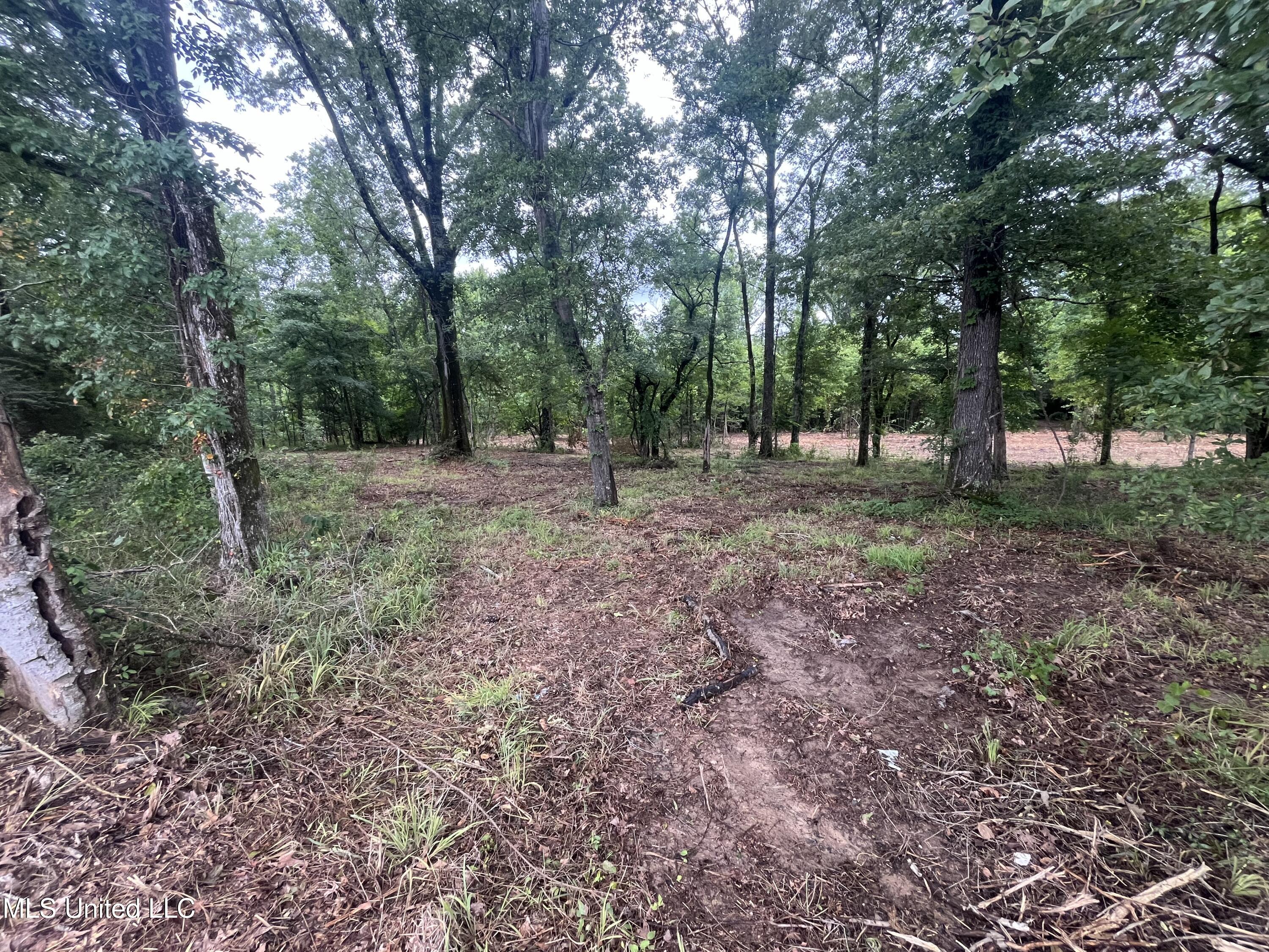0 Ms-18 Property Photo 5