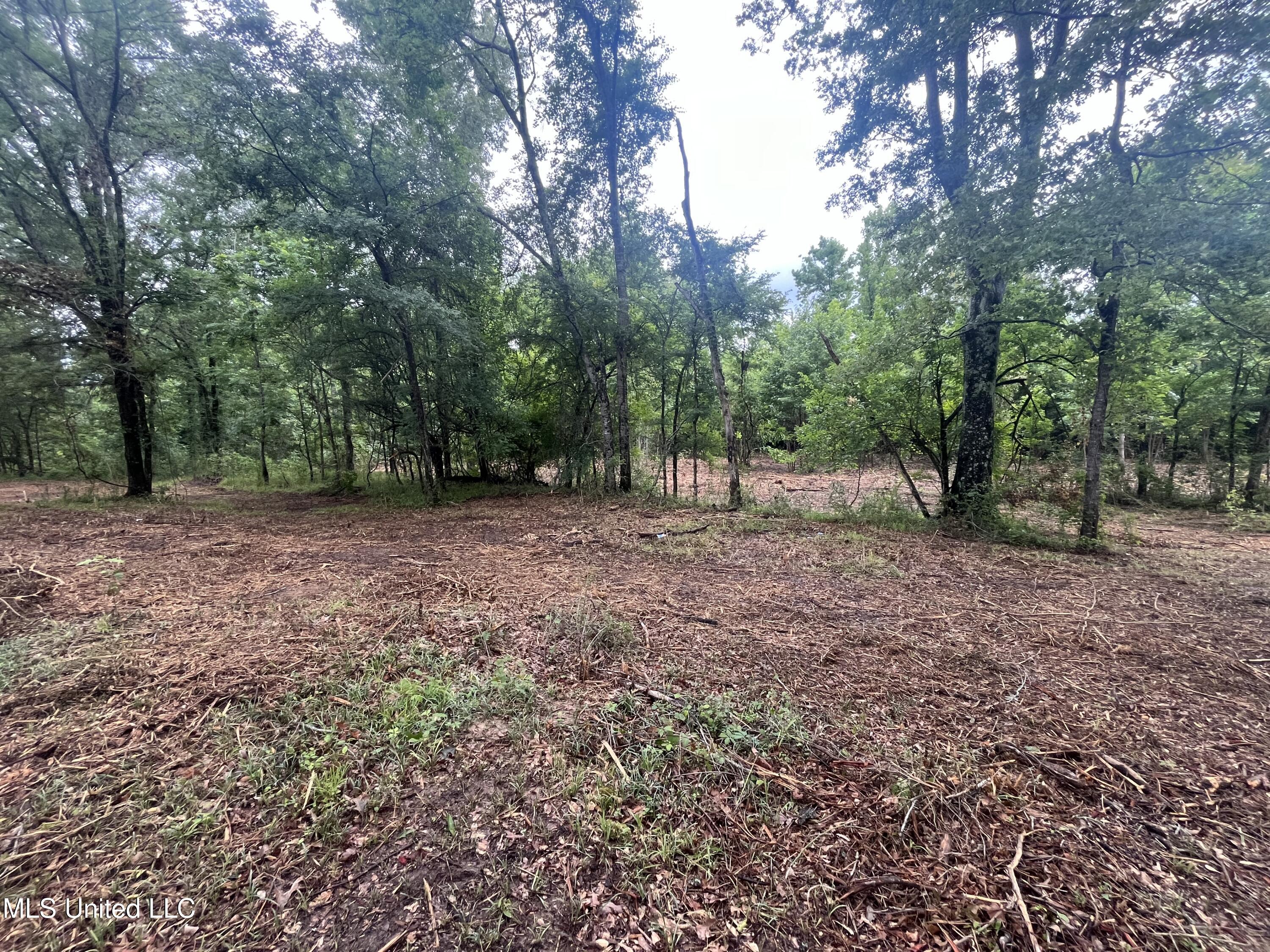 0 Ms-18 Property Photo 10