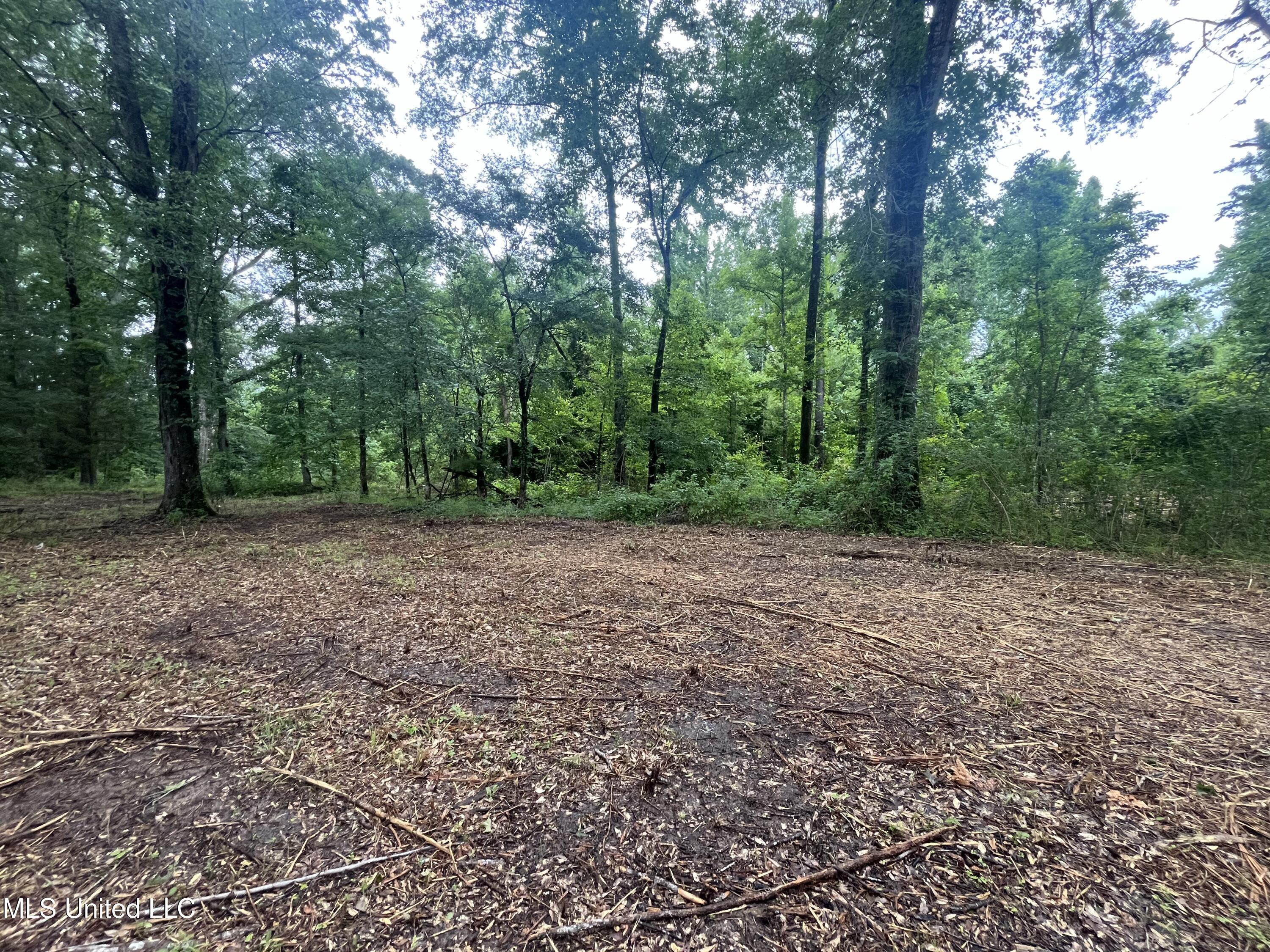 0 Ms-18 Property Photo 11