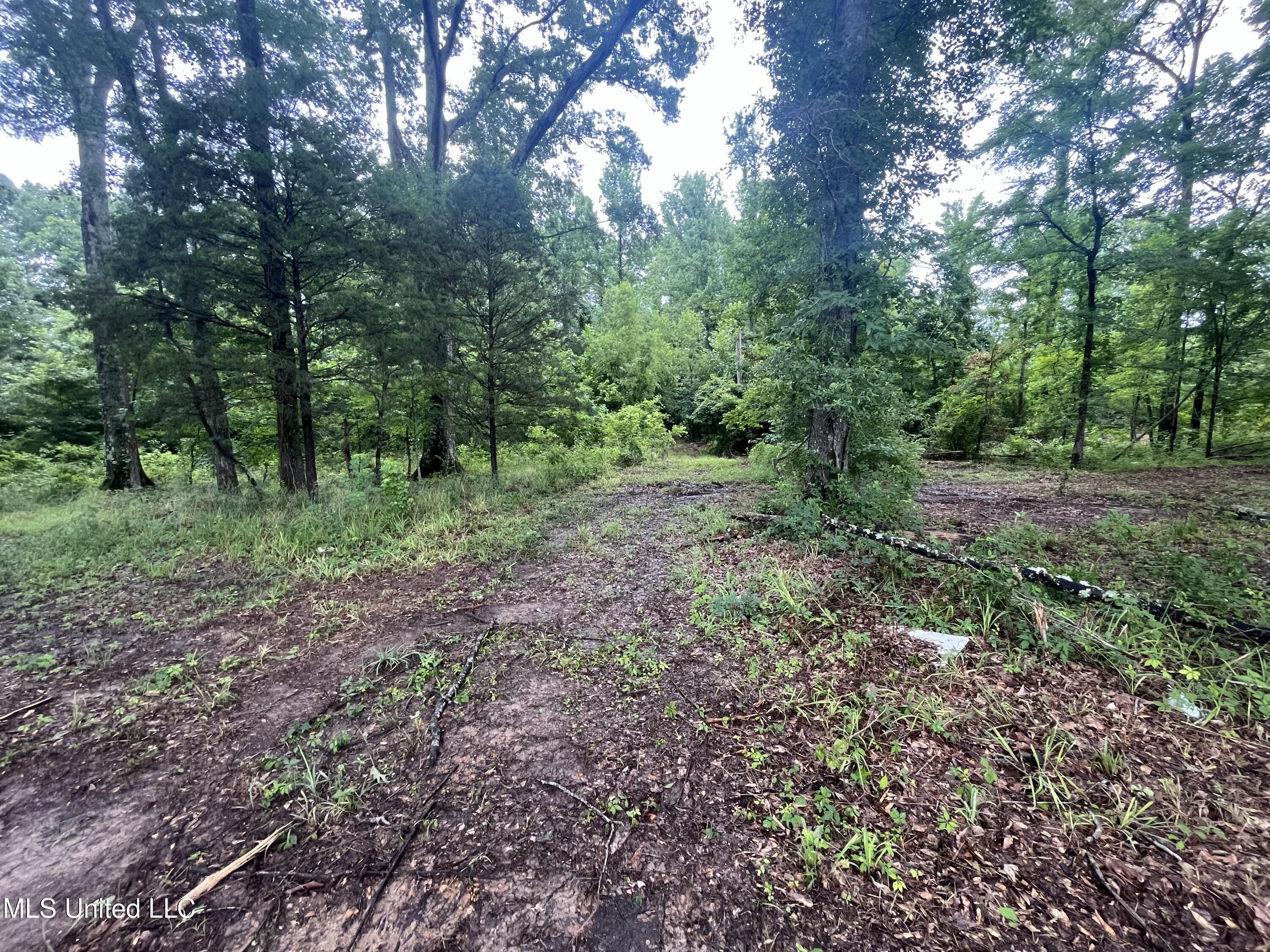 0 Ms-18 Property Photo 12