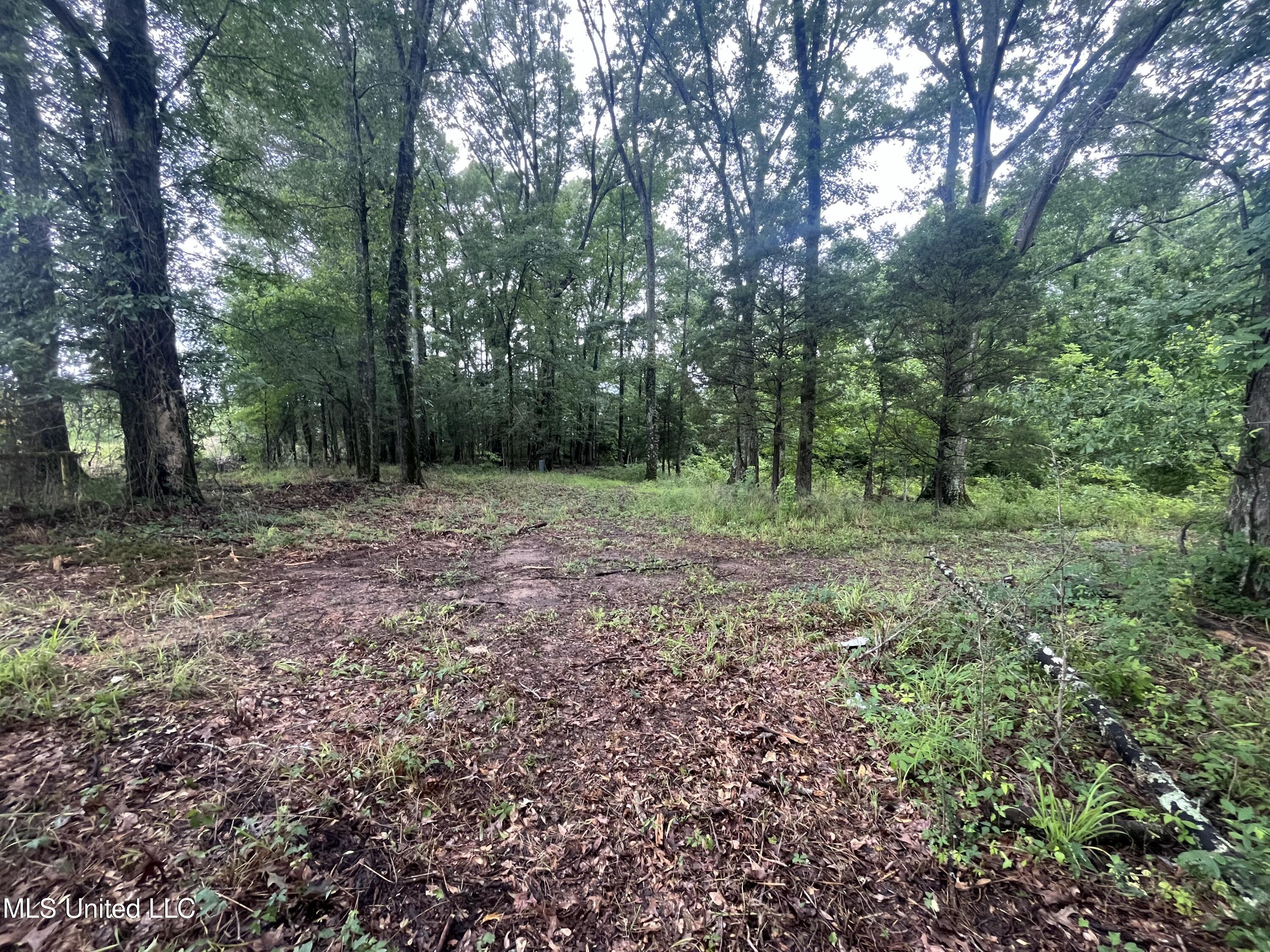 0 Ms-18 Property Photo 13