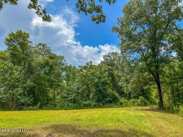 0 Hurricane Road Property Photo 1