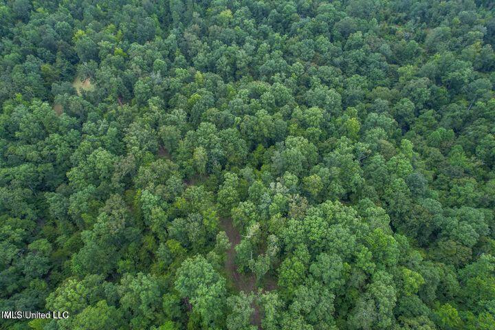 0 Hurricane Road Property Photo 5