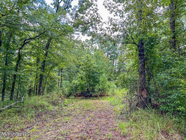 0 Hurricane Road Property Photo 16