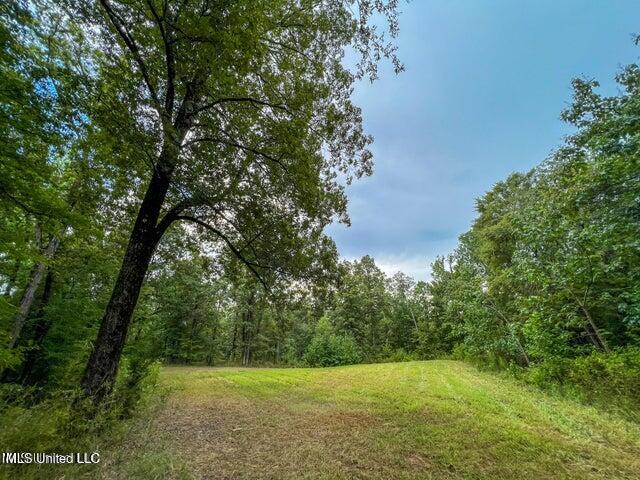 0 Hurricane Road Property Photo 28