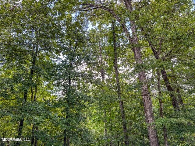 0 Hurricane Road Property Photo 29