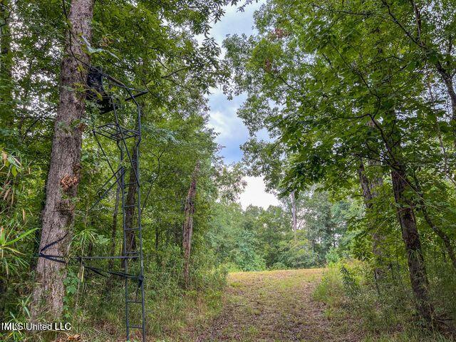 0 Hurricane Road Property Photo 35
