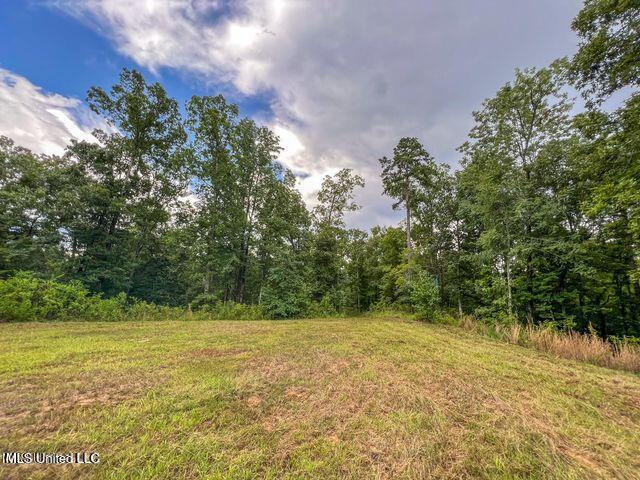 0 Hurricane Road Property Photo 37