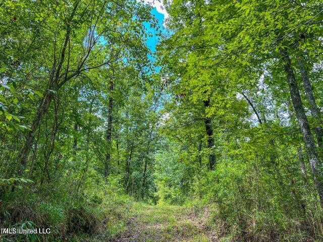 0 Hurricane Road Property Photo 39