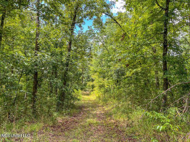 0 Hurricane Road Property Photo 40