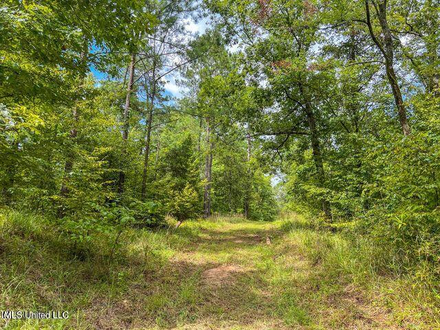 0 Hurricane Road Property Photo 41