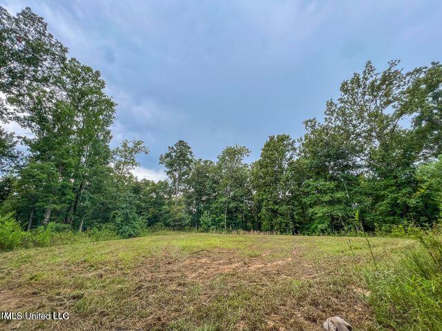 0 Hurricane Road Property Photo 1