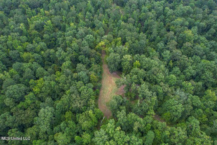 0 Hurricane Road Property Photo 8