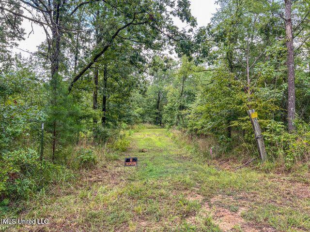 0 Hurricane Road Property Photo 14