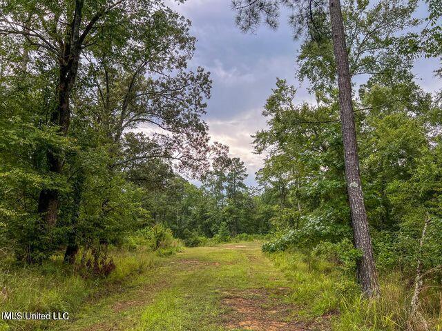 0 Hurricane Road Property Photo 15