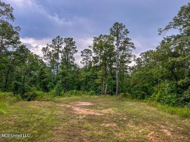 0 Hurricane Road Property Photo 16