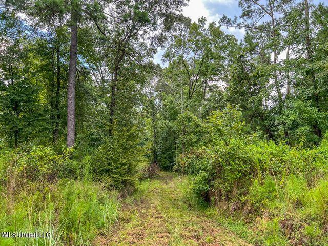 0 Hurricane Road Property Photo 17