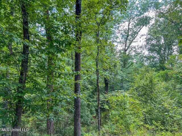 0 Hurricane Road Property Photo 19