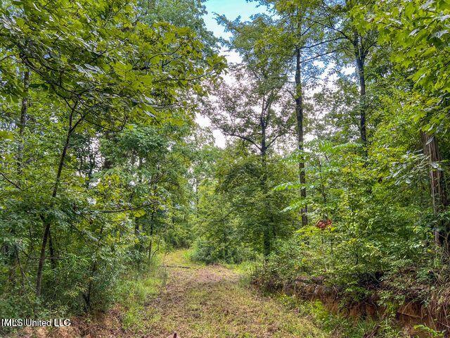 0 Hurricane Road Property Photo 20