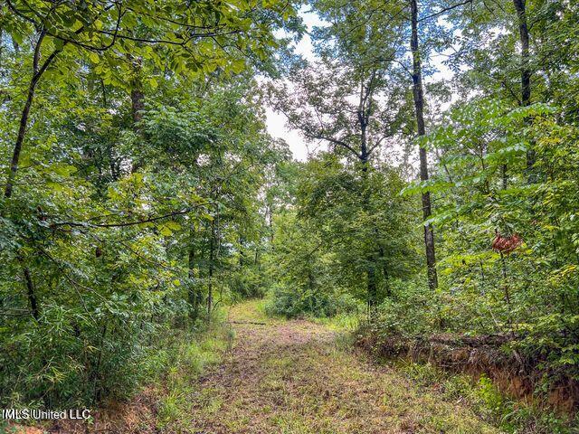 0 Hurricane Road Property Photo 21
