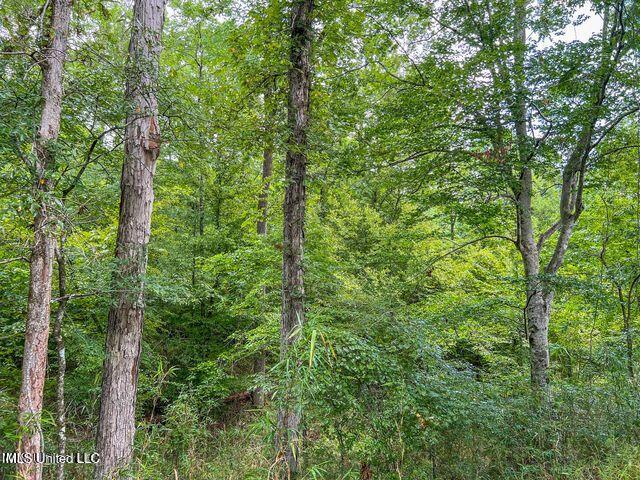 0 Hurricane Road Property Photo 22