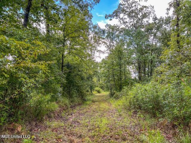 0 Hurricane Road Property Photo 23
