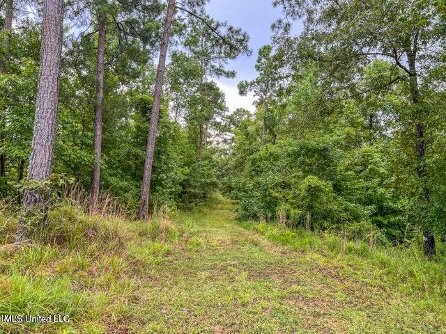 0 Hurricane Road Property Photo 24