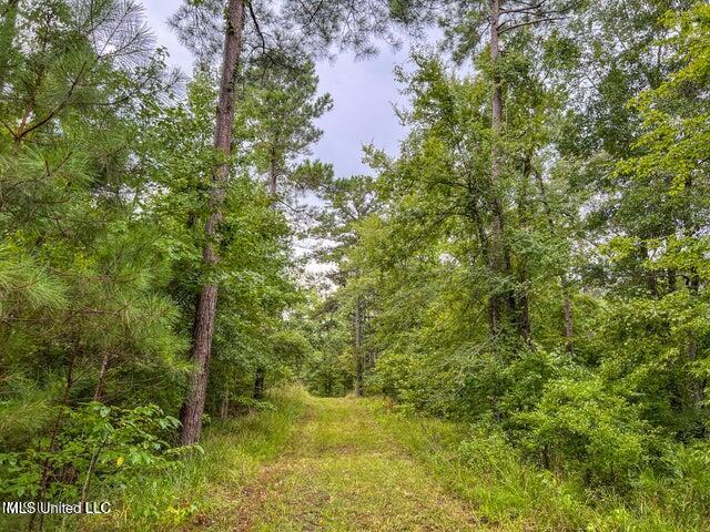 0 Hurricane Road Property Photo 25