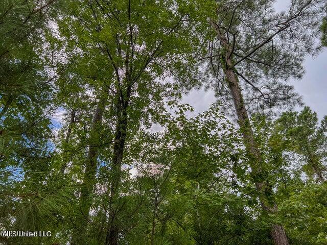 0 Hurricane Road Property Photo 26