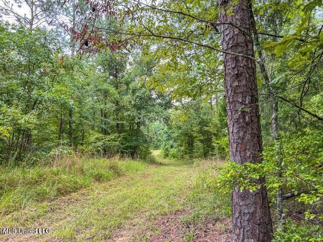 0 Hurricane Road Property Photo 27