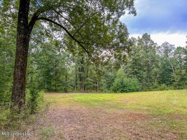 0 Hurricane Road Property Photo 28