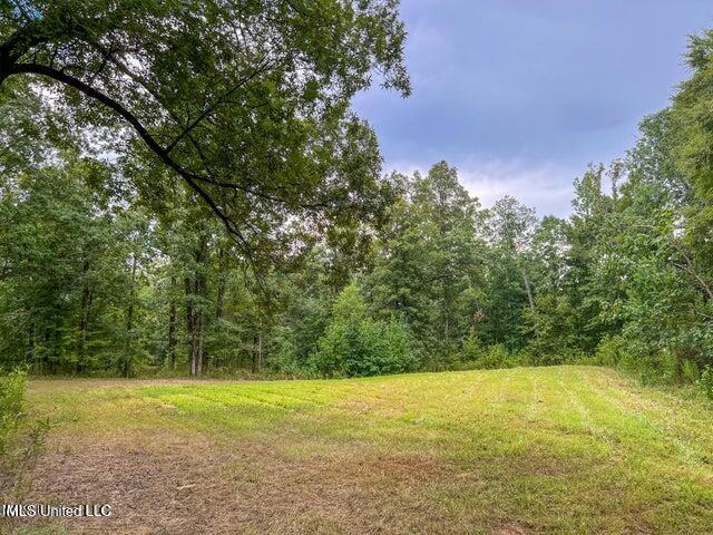 0 Hurricane Road Property Photo 29