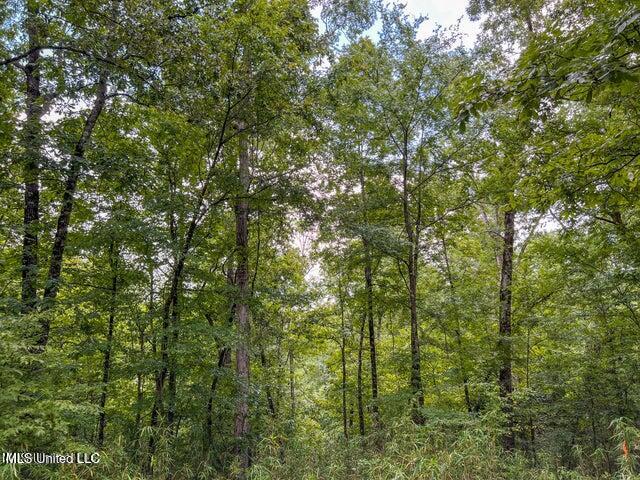 0 Hurricane Road Property Photo 33