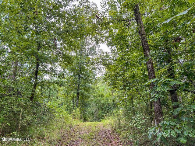 0 Hurricane Road Property Photo 34