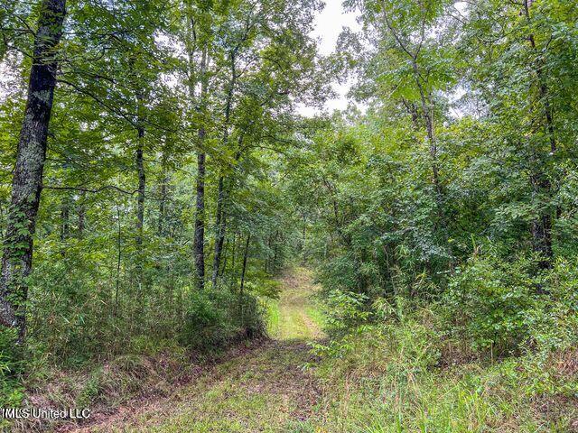 0 Hurricane Road Property Photo 35