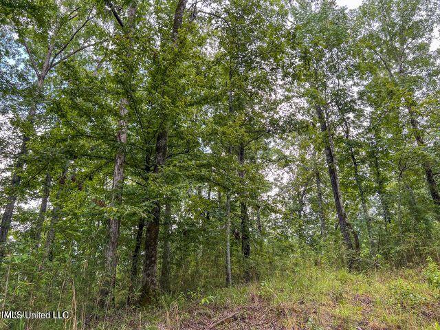 0 Hurricane Road Property Photo 36