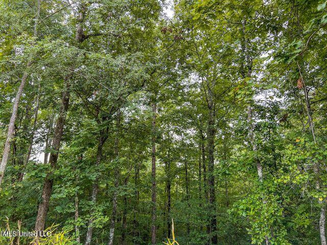 0 Hurricane Road Property Photo 40