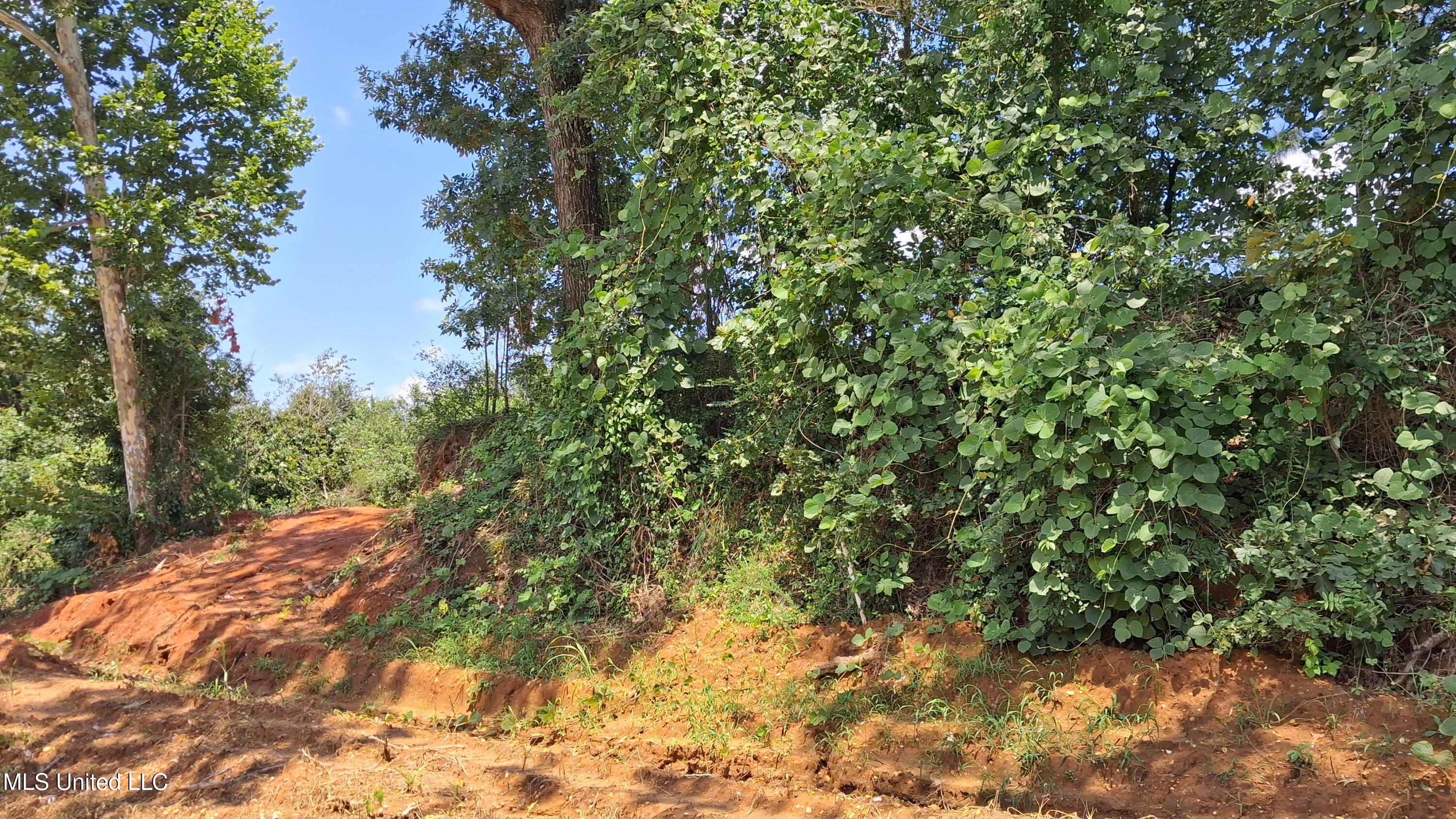 Gray Academy Road Property Photo 3